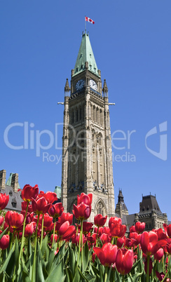 Spring Parliament