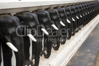 Row of elephant statues