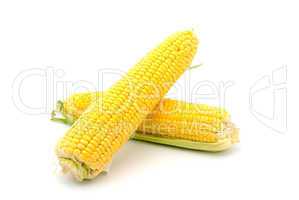 Corn on the cob