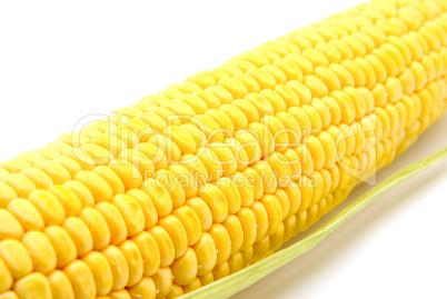 Corn on the cob