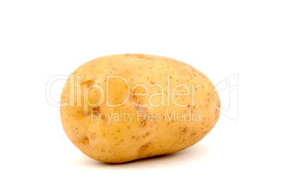 Potato