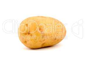 Potato