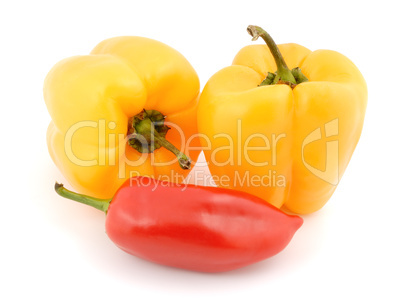 Fresh peppers vegetable