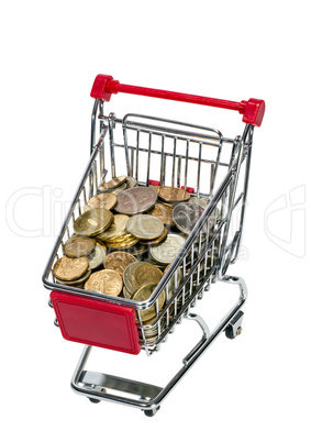 Shopping Cart with money