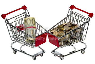 Shopping Cart with money