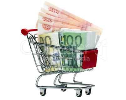 Shopping Cart with money