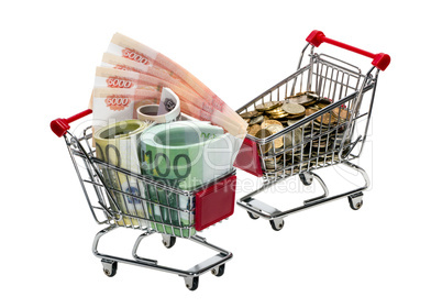 Shopping Cart with money