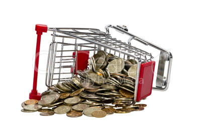 Shopping Cart with money