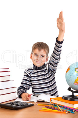 Cheerful Schoolboy ready to answer question