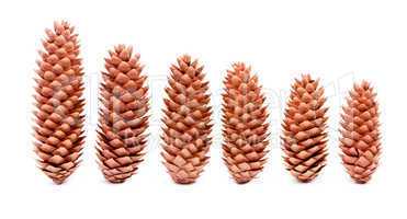 Cones