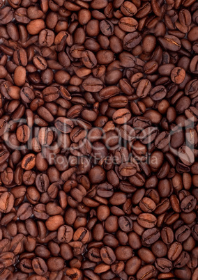 Background of coffee bean..