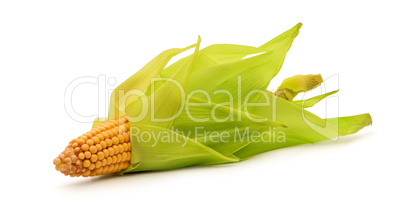 Corn