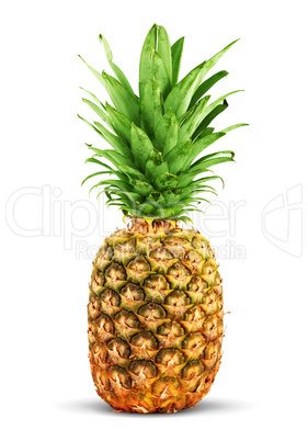 Ripe pineapple