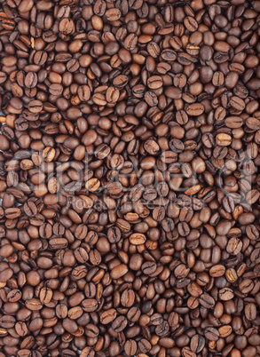 Background of coffee bean.