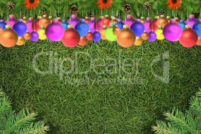 Christmas spruce  texture