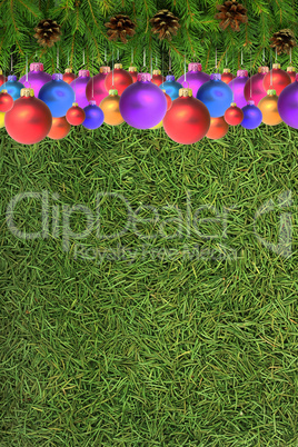 Christmas spruce  texture