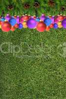 Christmas spruce  texture