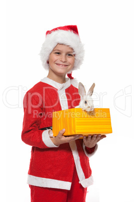 Boy holding a christmas rabbit