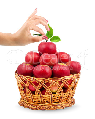 Basket of apples