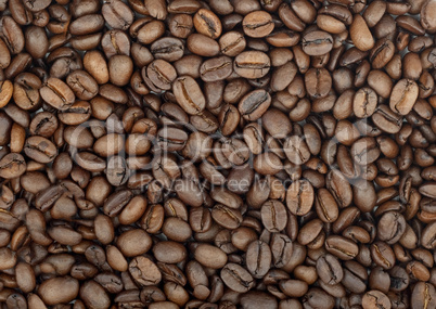 Roasted coffee bean