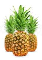 Ripe pineapple