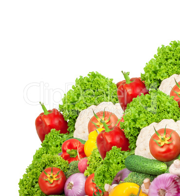 Assorted fresh vegetables