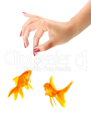 Woman feeding goldfishes