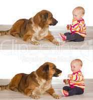 Generous baby sharing biscuit with dog