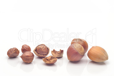 whole hazelnuts