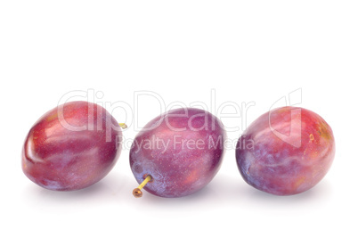 plums on a white background, close-up