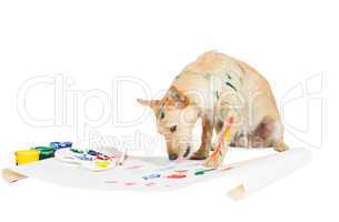 Dog painting with its paw
