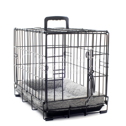 pet carrier with cushion