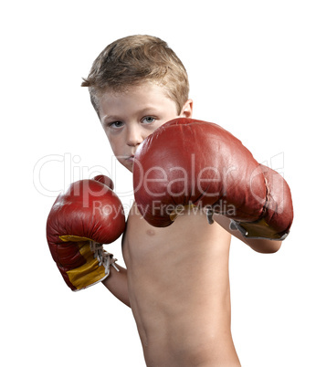 cute little boy with boxing gloves isolated on white