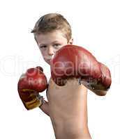 cute little boy with boxing gloves isolated on white