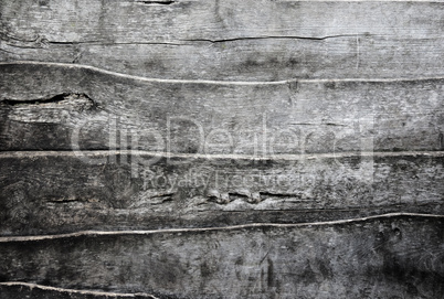 Wooden Texture 24