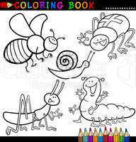 Insects and bugs for Coloring Book or Page