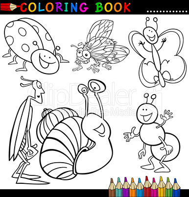 Insects and bugs for Coloring Book or Page