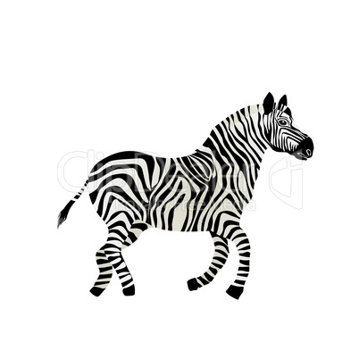 Running zebra