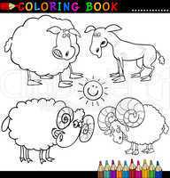 Farm Animals for Coloring Book or Page