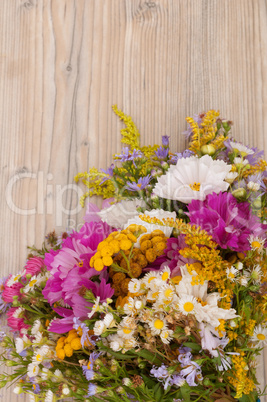 Wild Summer Flowers