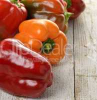 Colorful Sweet Pepper