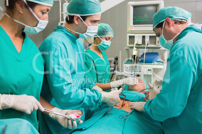 Concentrated surgeons operating a patient