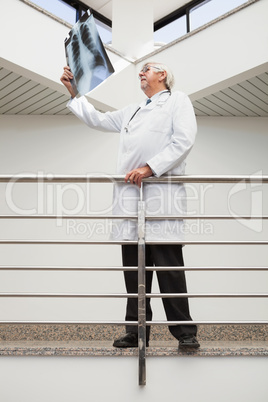 Doctor looking at x-ray leaning against railing