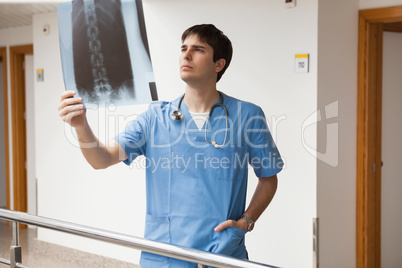 Nurse looking at x-ray