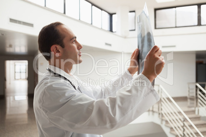 Doctor checking x-ray