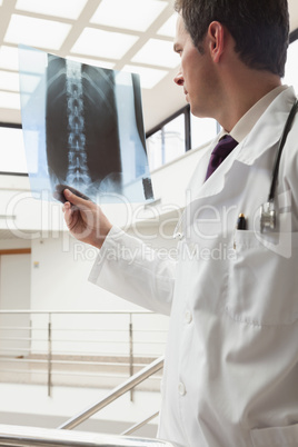 Doctor looking at x-ray