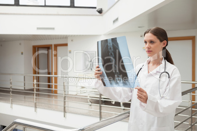 Female doctor analyzing x-ray at stairwell