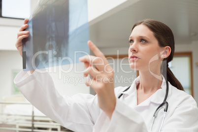 Female doctor holding and studying  x-ray