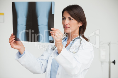 Doctor analysing x-ray