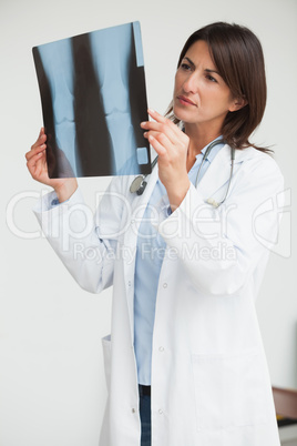 Doctor holding up x-ray and examining